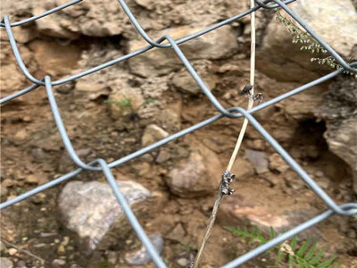 TECCO高强度钢丝格栅